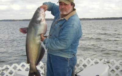 Lake Conroe Trophy Catfishing Forecast For 2019