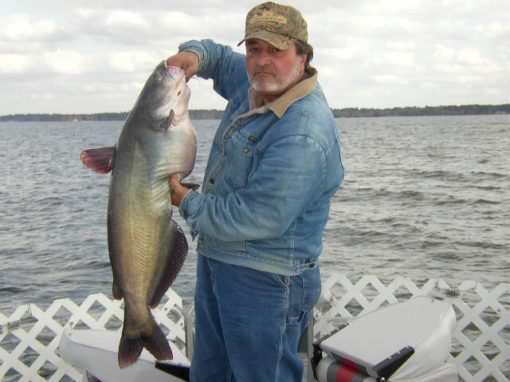 Lake Conroe Trophy Catfishing Forecast For 2019 | Lake Conroe Fishing